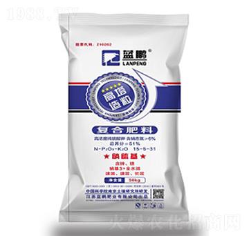 ���������ͺϷ���15-5-31-�{�i�ʘI(y��)