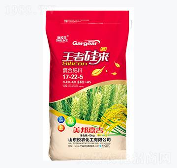 ��(f��)�Ϸ���17-22-5-ʩ����-���r(n��ng)����