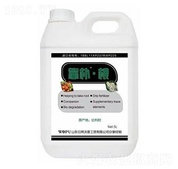 低溫定向酶解海藻液體肥-靠樸·根-沐春農(nóng)資