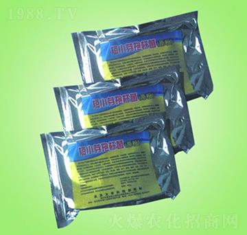 短小芽孢桿菌（原粉）-物之源