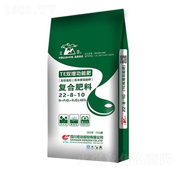 �ͺϷ���22-8-10