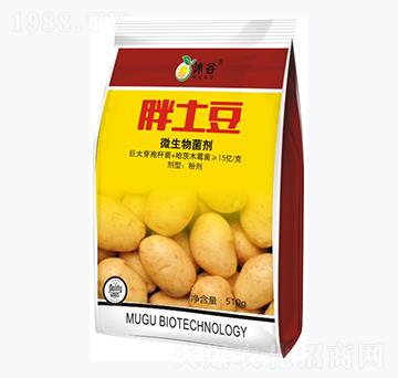 微生物菌劑-胖土豆-沐谷生物