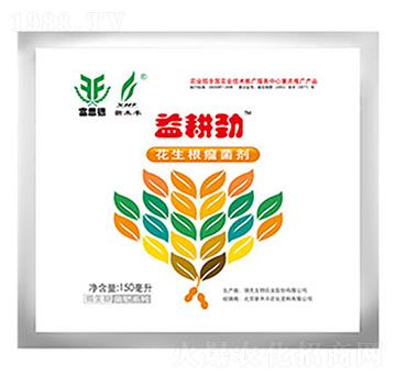 ����Ż�����������