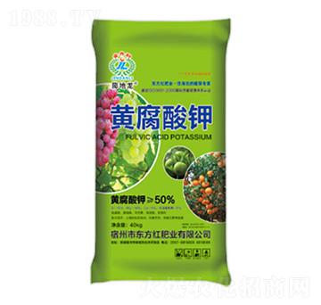 50%�S�����-�����-�|���t