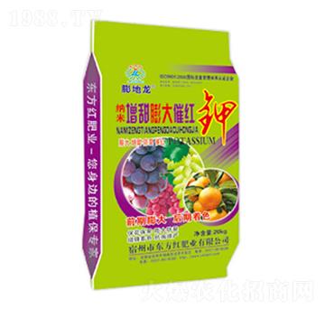 �{���������߼t�-�����-�|���t