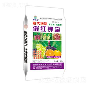 �������߼t⛌�-�����-�|���t