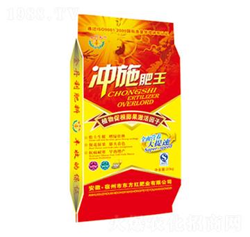 �_ʩ����-�|���t