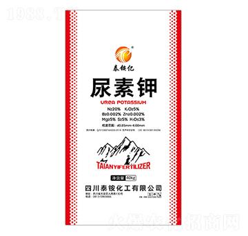 �����-̩�@�|-�ʢ�Ƽ�