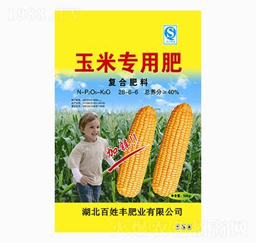 ���׌��ÏͺϷ���28-6-6-�����S