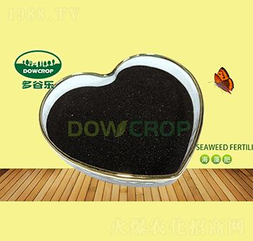 ��ĩ��徫-��Ș�(l��)