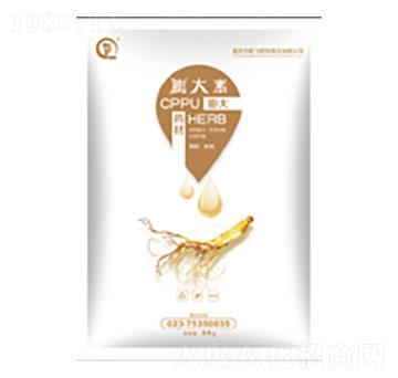 ˎ�������-���л���