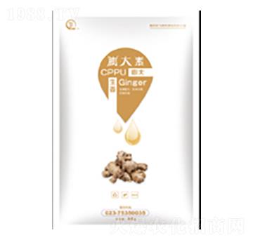 ���������-���л���