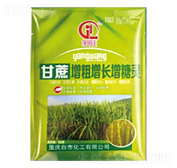 �����������L(zh��ng)�����`-���л���