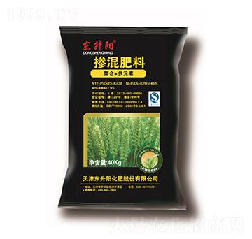 ��ጓ������-�|���