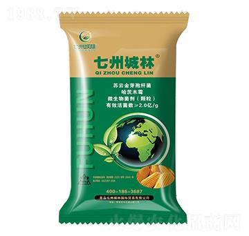 �����طN���x��-���ݳ���