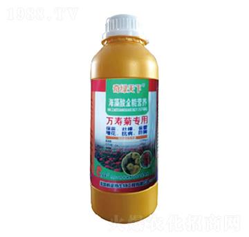 萬(wàn)壽菊專用海藻酸營(yíng)養(yǎng)液-奇綠天下-中根生物