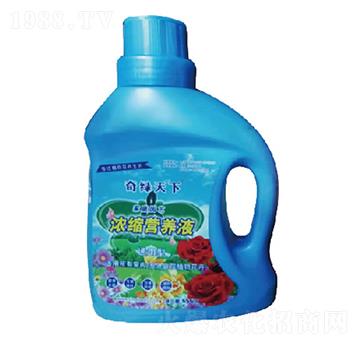 濃縮營養(yǎng)液-奇綠天下-中根生物