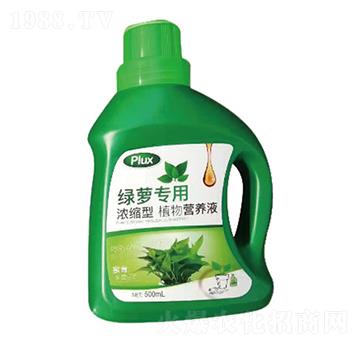 綠蘿專用濃縮型植物營(yíng)養(yǎng)液-中根生物