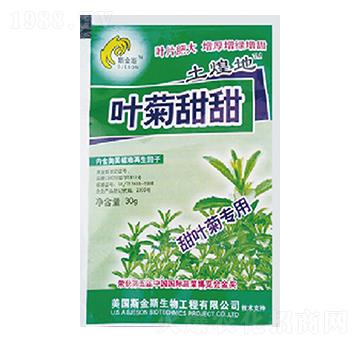 葉菊甜甜-土煌地-中根生物