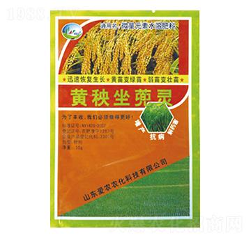 黃秧坐蔸靈-中根生物