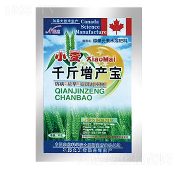 小麥千金增產(chǎn)寶-中根生物