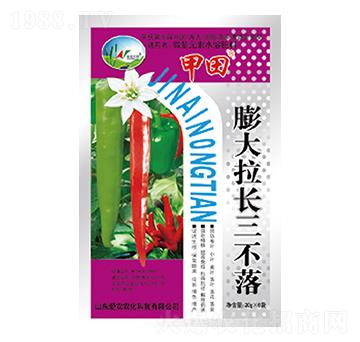 膨大拉長三不落-甲田-中根生物