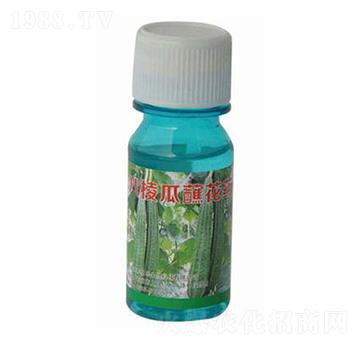 八棱瓜蘸花藥-農(nóng)伯樂(lè)