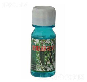 冬瓜蘸花藥-農(nóng)伯樂(lè)