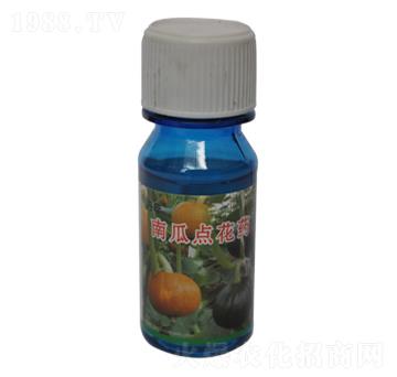 南瓜點(diǎn)花藥-農(nóng)伯樂(lè)