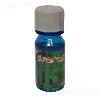 瓠子葫蘆蘸花藥-農(nóng)伯樂(lè)