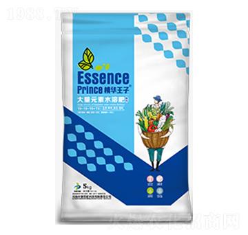 平衡型大量元素水溶肥料19-19-19+TE-精華王子-中黃特肥