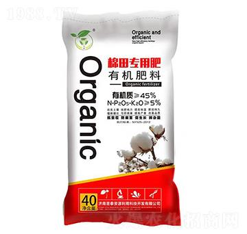 ������ЙC����-��̩