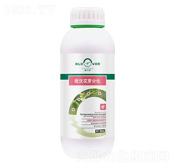 海藻礦源植物破眠催芽劑-歐沃花芽分化-歐蘭沃