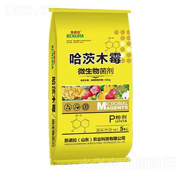 ΢�������-����ľù��-�P�Z��