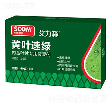 �S�~�پG-����ɭ-˹��ķ