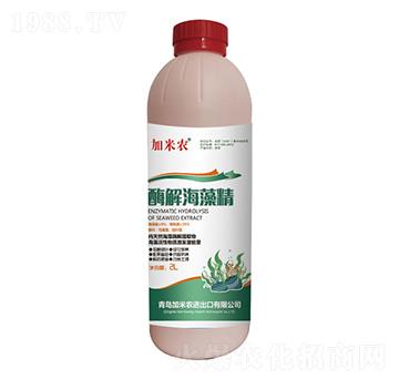 ø�⺣�徫-�����r(n��ng)