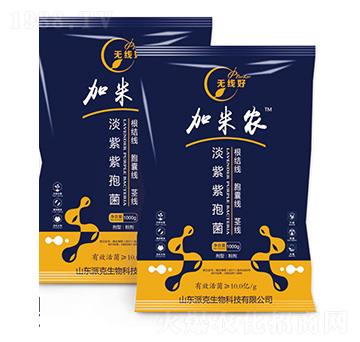 �������߾�-�o(w��)����-�����r(n��ng)