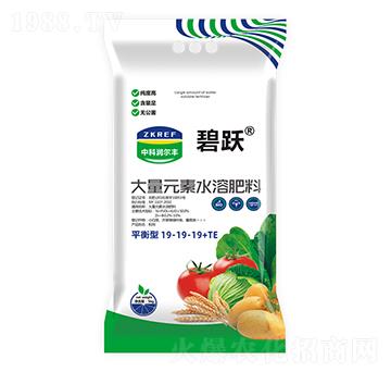 平衡型大量元素水溶肥料19-19-19+TE-碧躍-中科潤(rùn)爾豐