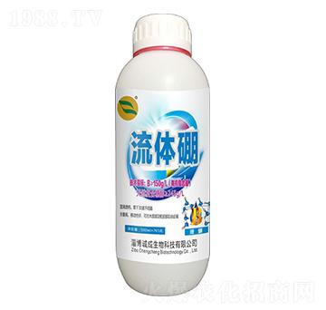 ���w��-�\������