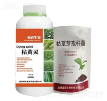 �A(y��)�����Sή���S��M��-���S�`-�\������