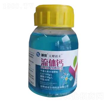 ���w�}-��ҫ����-�\������