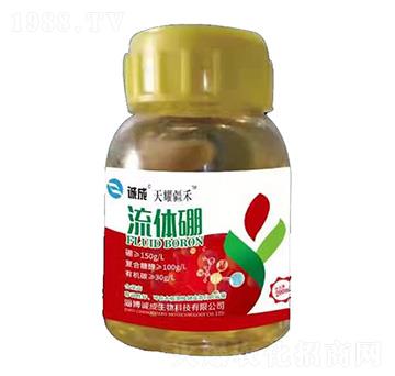 ���w��-��ҫ����-�\������