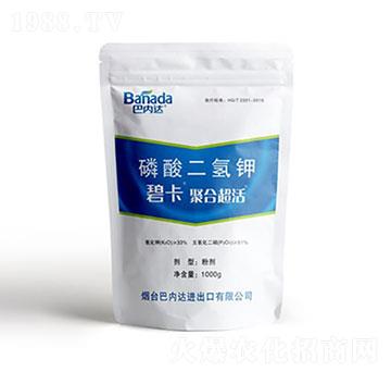 ��������-�̿�-�̓�(n��i)�_(d��)