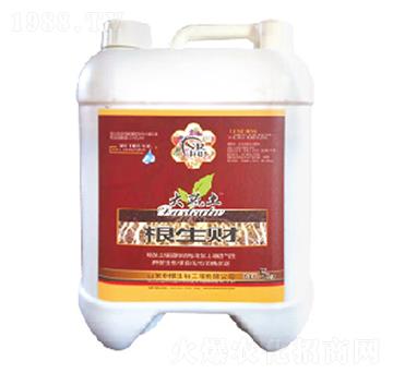 ����ؔ(c��i)-�и�����