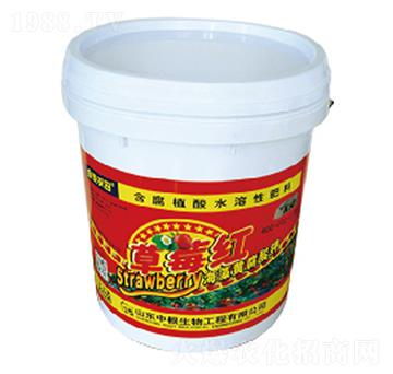 ����ֲ��ˮ�ܷ���-��ݮ�t-�и�����