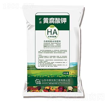 �VԴ�S�����-�и�����