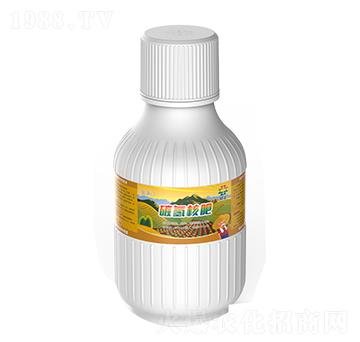 碳氫核肥-金藻門-碳匯農業(yè)