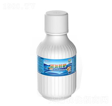 碳氫核肥-藍藻門-碳匯農業(yè)