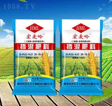 �������20-18-5-�֝����S