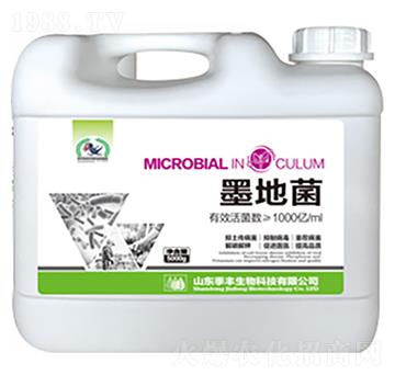 微生物菌劑-墨地菌-季豐生物